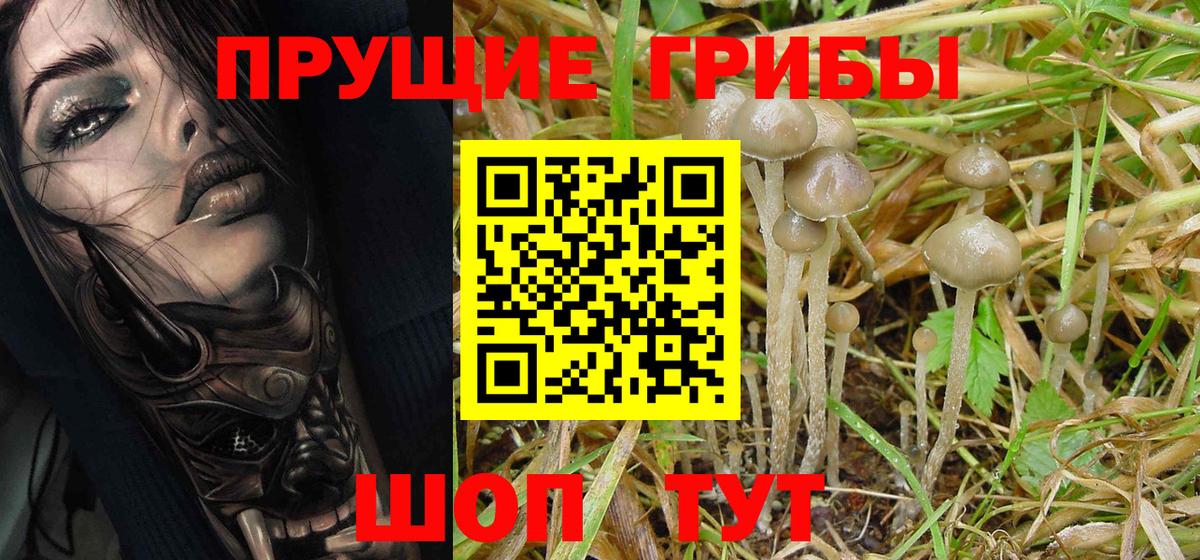 Галлюциногенные грибы ЛСД  Галлюциногенные грибы Psilocybine cubensis  Нягань  Вход с VPN 