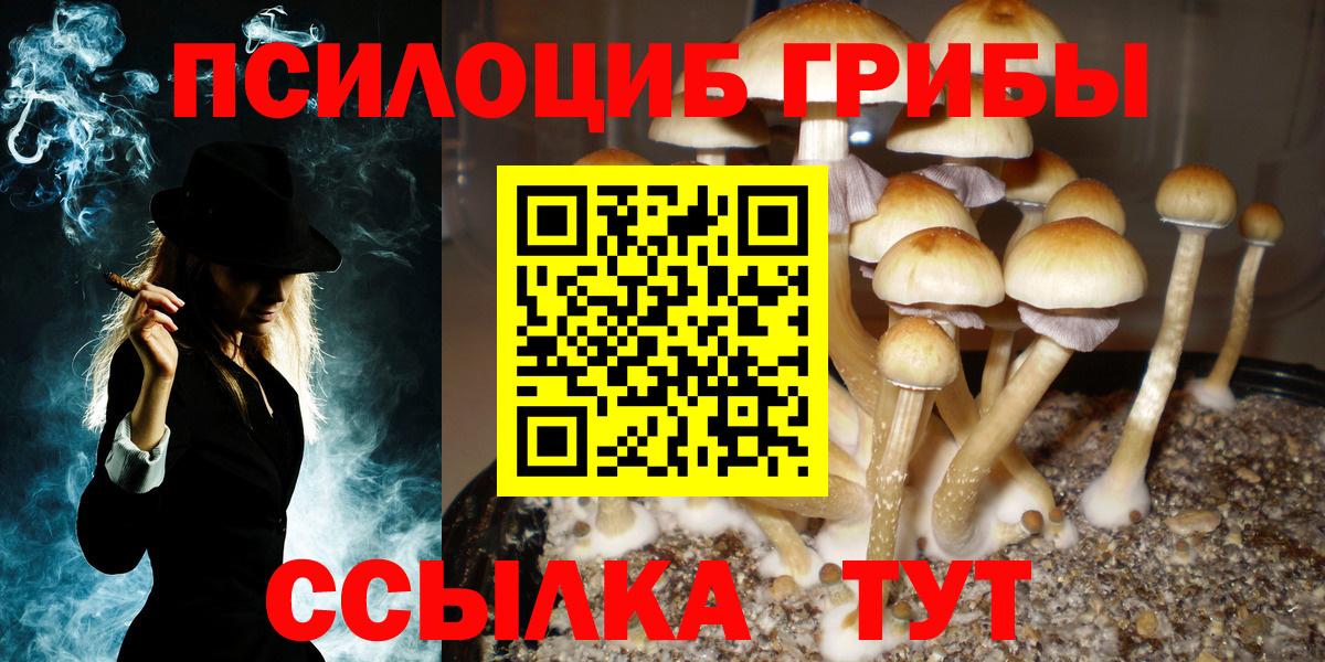 Псилоцибиновые грибы Cubensis Нягань